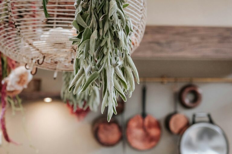 Simple Swaps for an Eco-Friendly and Stylish Kitchen