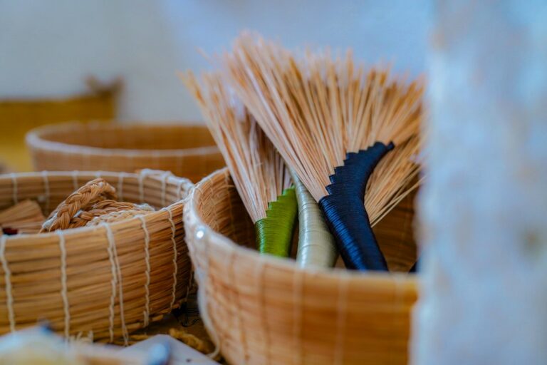 Discover the Best Biodegradable Utensils for Everyday Cooking